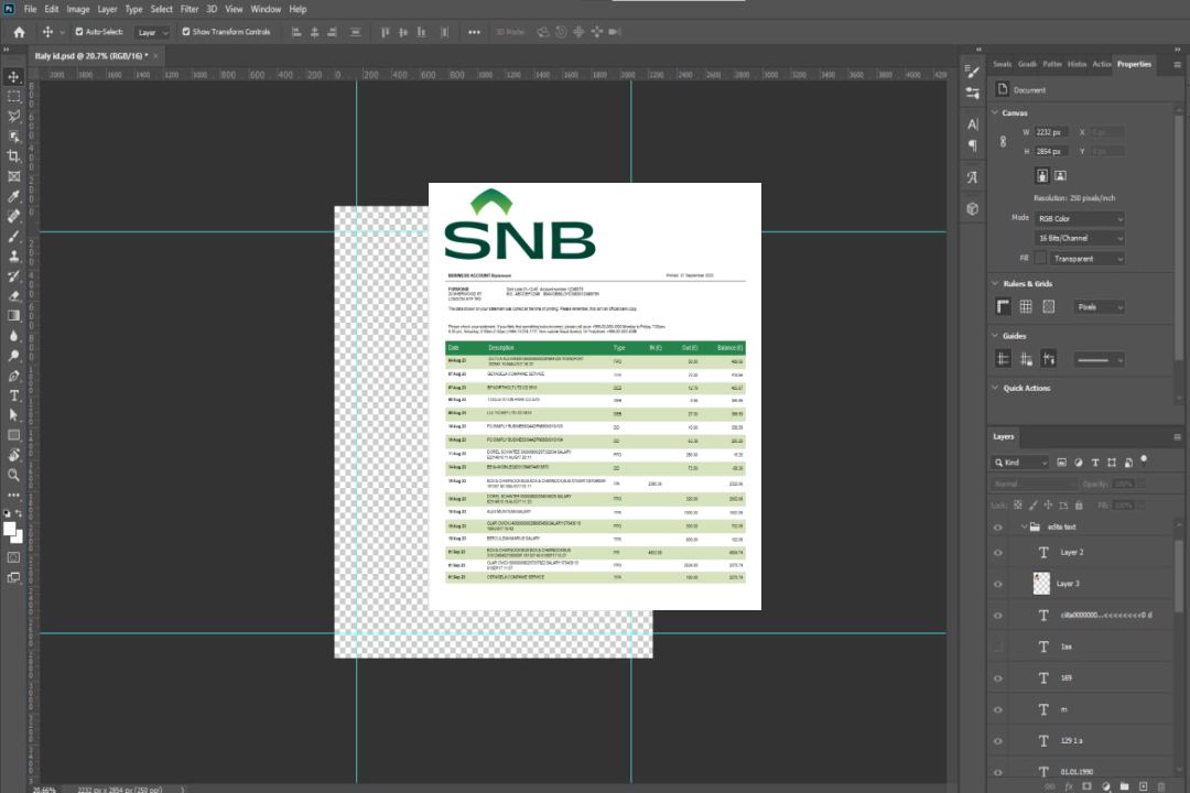 Modèle Word et PDF de déclaration d'entreprise de la Banque SNB template